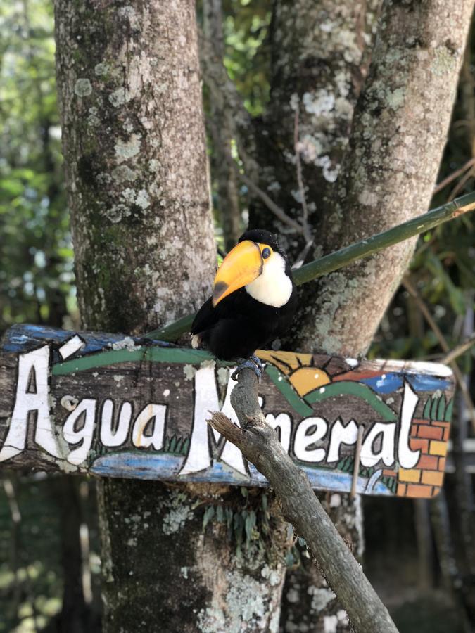 Fazenda Morro Pelado Otel Águas de Lindóia Dış mekan fotoğraf